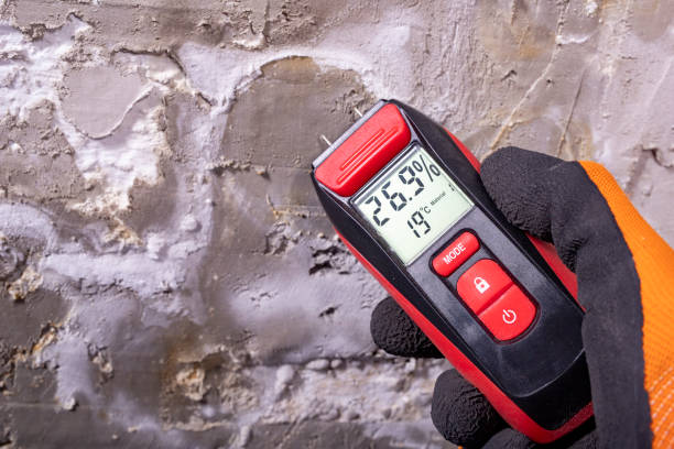  Hillsbo, OR Mold Removal Pros