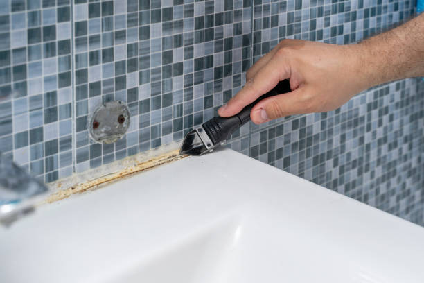 Best Mold Testing  in Hillsbo, OR