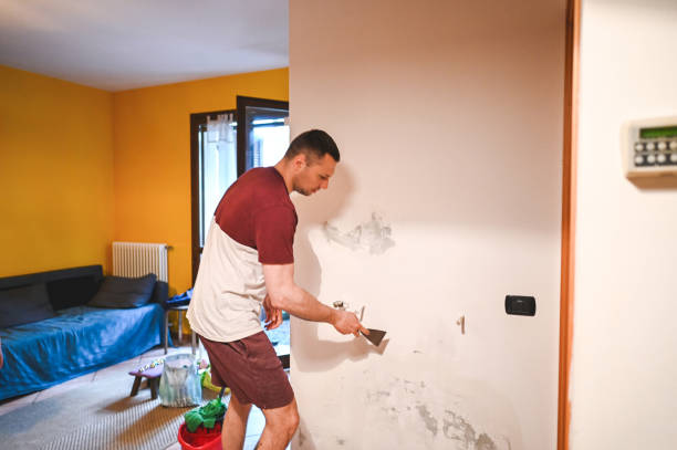 Best Attic Mold Removal  in Hillsbo, OR