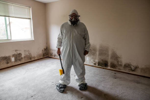 Best Crawl Space Mold Removal  in Hillsbo, OR
